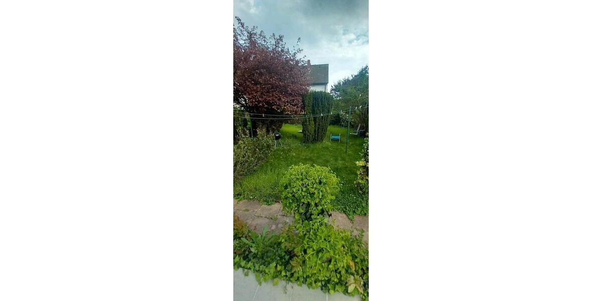 Etagenwohnung Mannheim Neckarstadt-Ost - 1 Zimmer, 16 m&sup2;, 400&euro; | Angebot:26231245