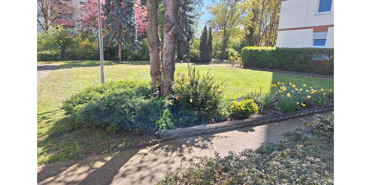 Etagenwohnung Ludwigshafen am Rhein Rheingönheim - 4 Zimmer, 100 m&sup2;, 399.000&euro; | Angebot:26211847