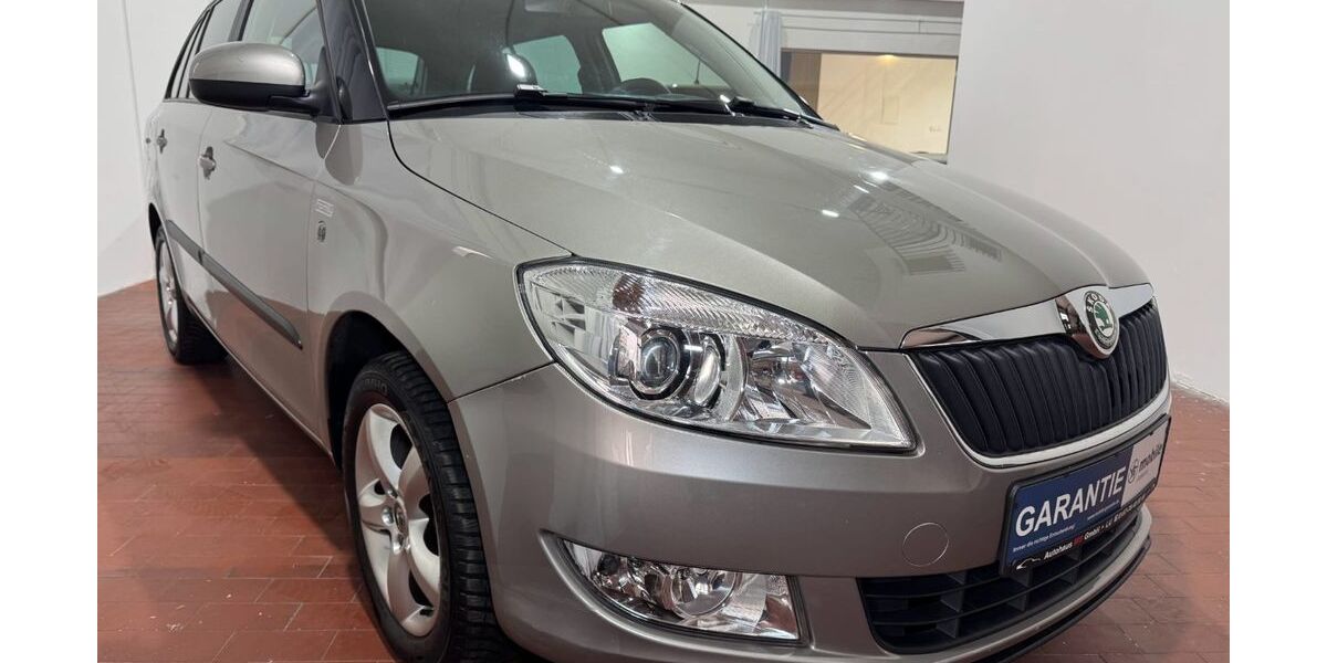 Skoda Fabia 138.000 km 4.490 &euro; Ludwigshafen am Rhein 67059