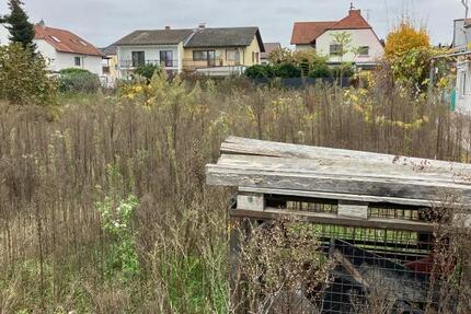 ObjNr:19087 - Voll erschlossenes Baugrundstück in Speyerer Bestlage 1 zimmer