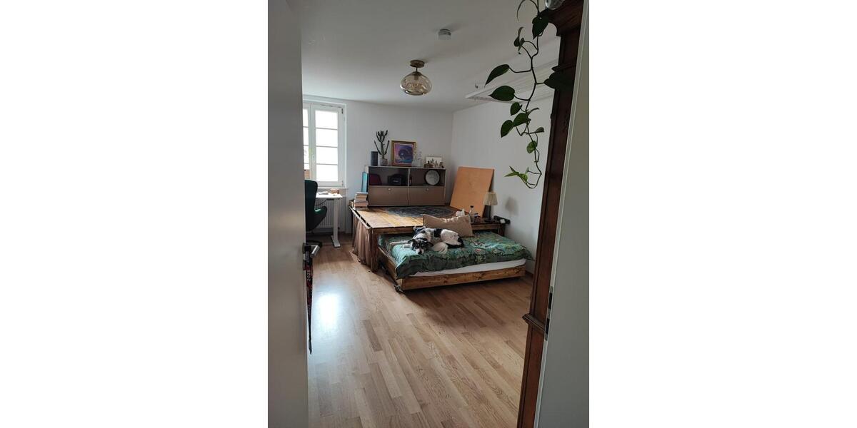 Erdgeschoßwohnung Mannheim Niederfeld - 1 Zimmer, 78 m&sup2;, 480&euro; | Angebot:25408358