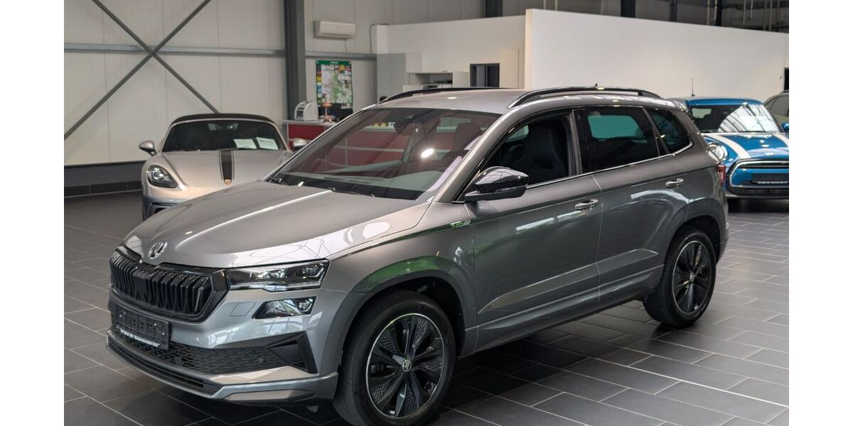 Skoda Karoq 90.000 km 28.900 &euro; Weinheim 69469
