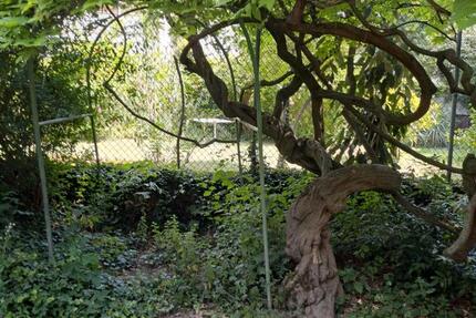 charmante Doppelhaushälfte 5.5 zimmer