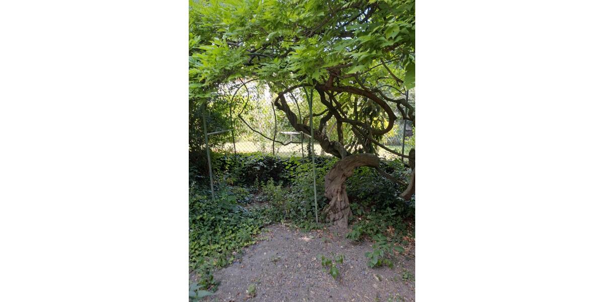 Doppelhaushälfte Ludwigshafen am Rhein Parkinsel - 5.5 Zimmer, 125 m&sup2;, 400.000&euro; | Angebot:24690883