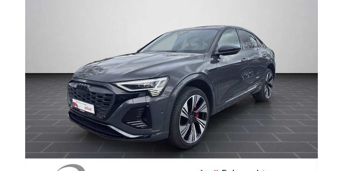 Audi Q8 57.817 km 49.500 &euro; Ludwigshafen 67063