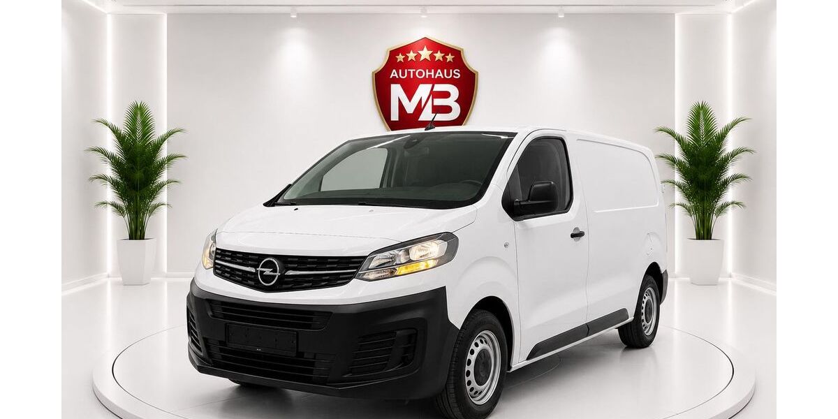 Opel Vivaro 80.000 km 19.990 &euro; Ludwigshafen am Rhein 67059