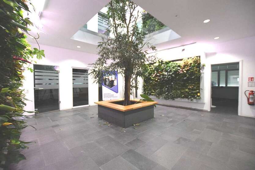 Büro in Mannheim Friesenheimer Insel 2.440 € 215 m²