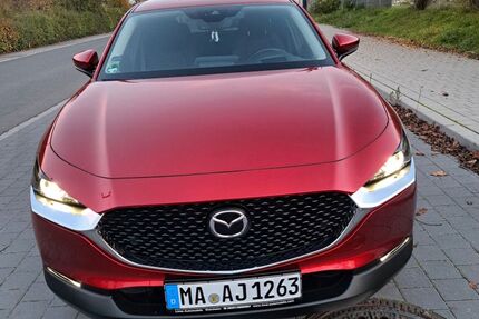 Mazda CX-30 47.800 km 20.600 &euro; Mannheim 68259