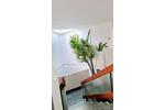 Etagenwohnung Mannheim Käfertal - 3.5 Zimmer, 78 m&sup2;, 195.000&euro; | Angebot:27096356