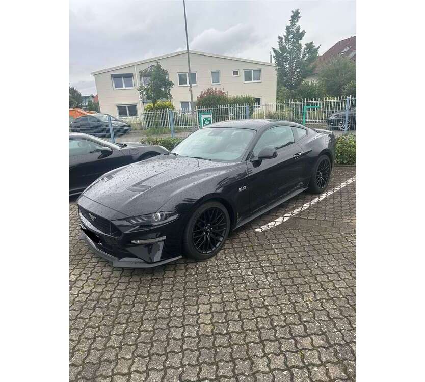Mustang
