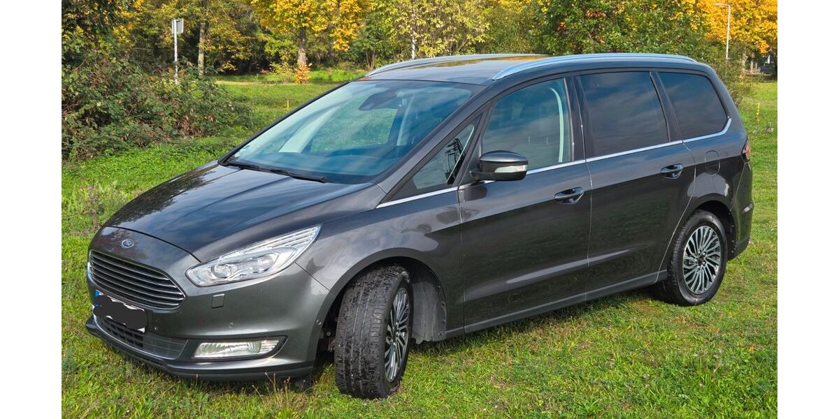 Ford Galaxy 178.000 km 14.000 € Viernheim 68519
