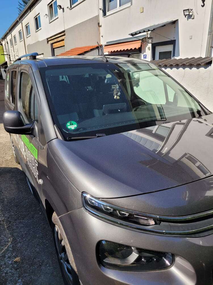 Berlingo
