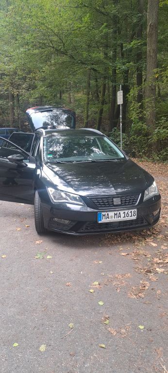 Seat Leon 229.000 km 14.500 € Mannheim 68239