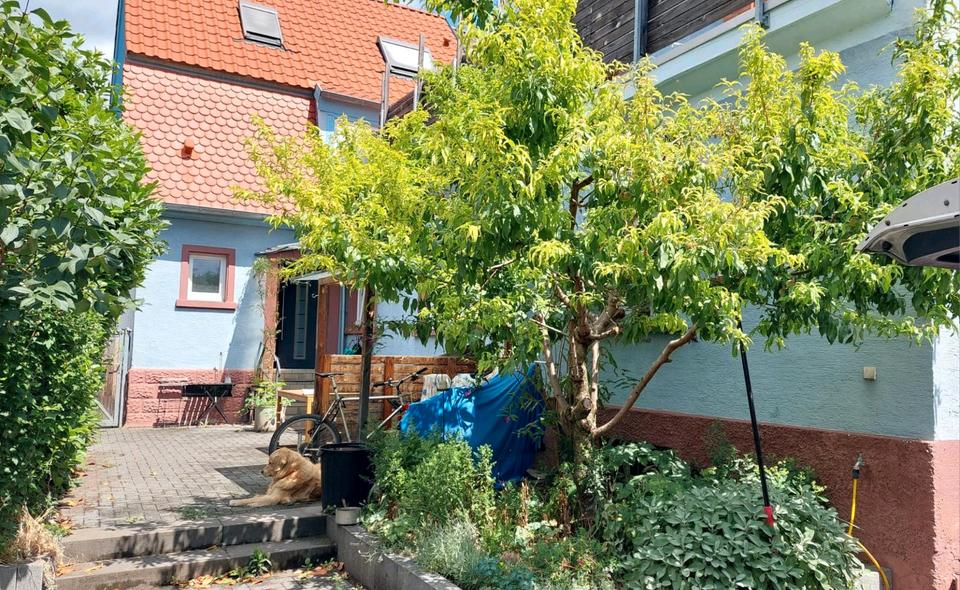 Doppelhaushälfte 5 zimmer