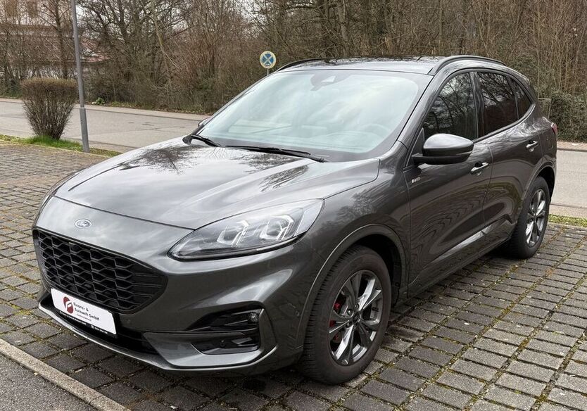 Kuga