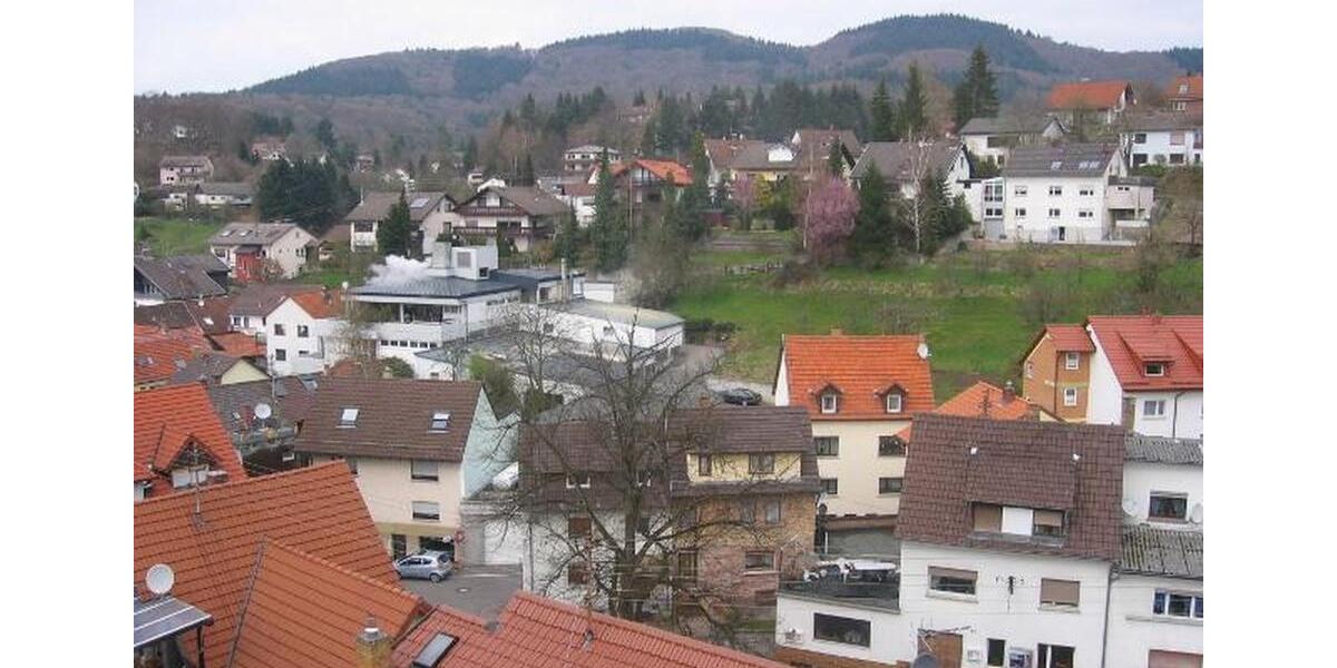 Dachgeschoßwohnung Schriesheim - 3 Zimmer, 80 m&sup2;, 730&euro; | Angebot:26099164