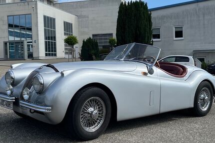 Jaguar XK 8.000 km 120.000 &euro; Sinsheim 74889