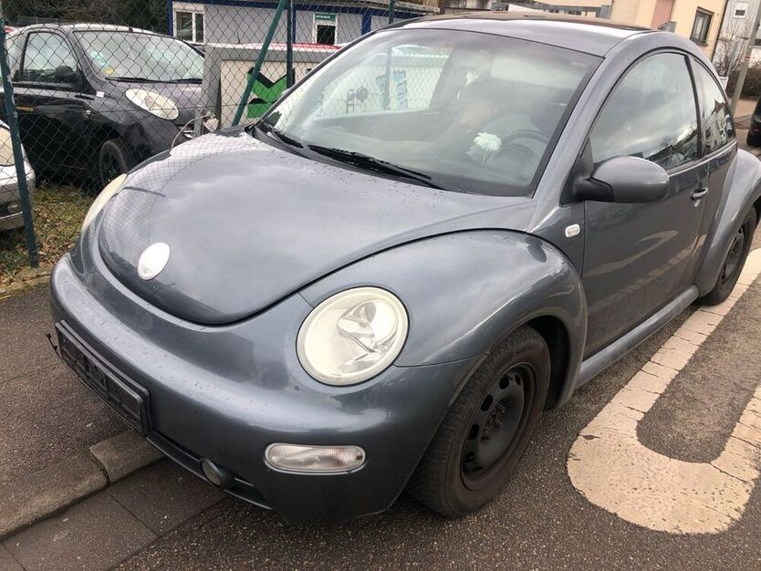 Beetle