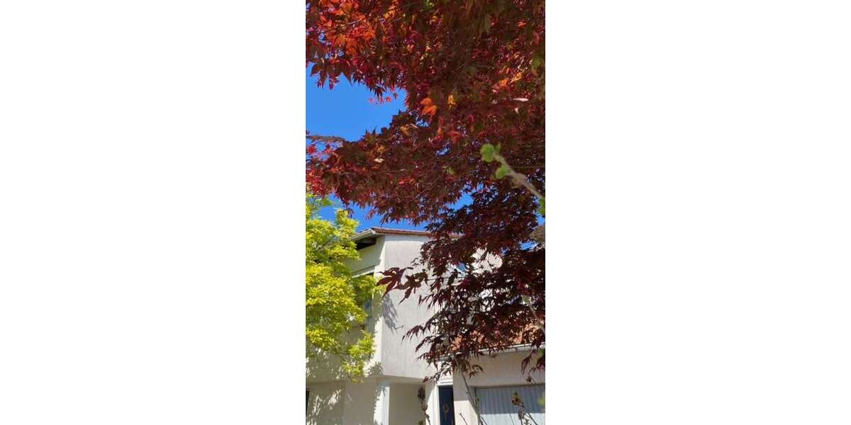 Einfamilienhaus Heidelberg - Rohrbach - 6 Zimmer, 135 m&sup2;, 549.000&euro; | Angebot:26069329