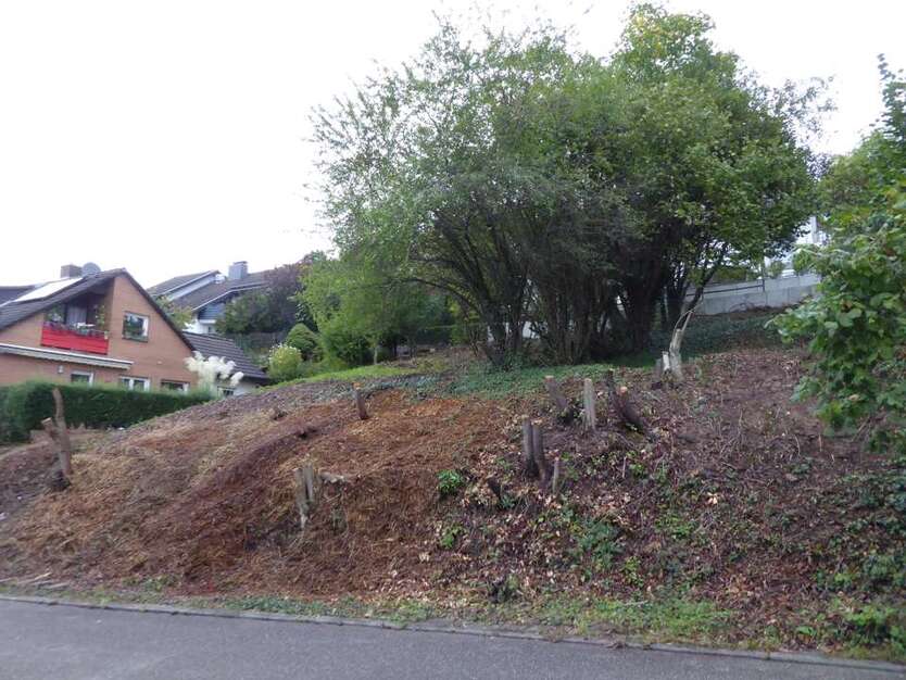 Grundstück zu verkaufen in Neckargemünd 225.000 € 311 m² zimmer