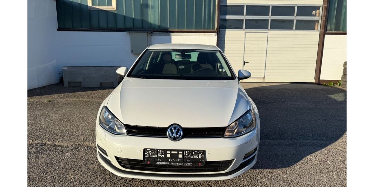 VW Golf 155.907 km 7.699 &euro; Forst 76694