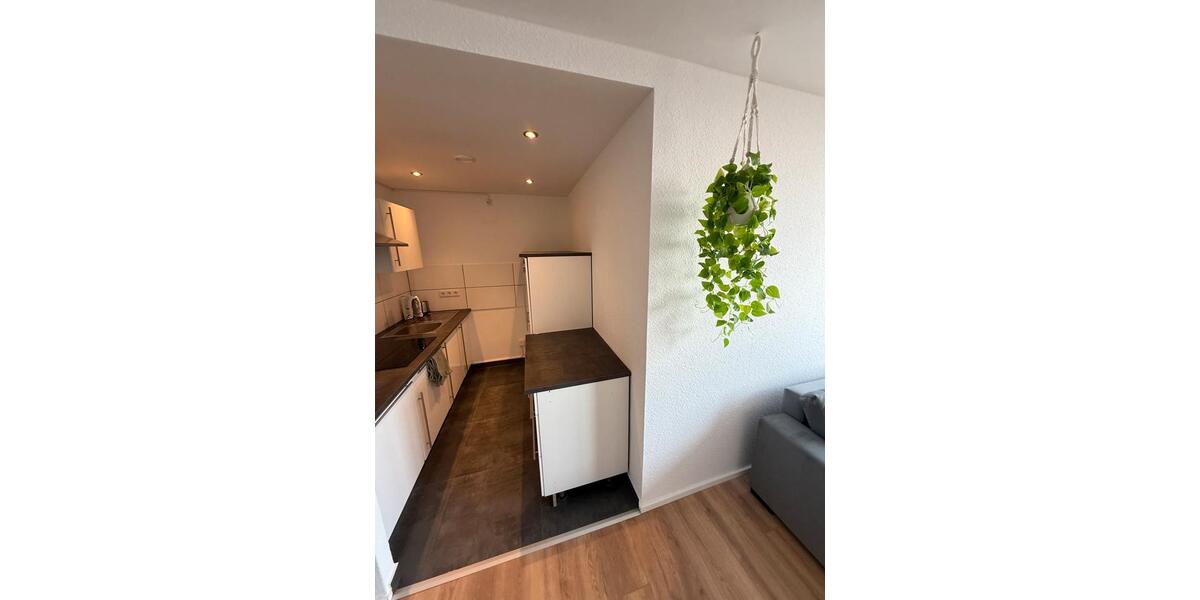 Etagenwohnung Ludwigshafen am Rhein Parkinsel - 1.5 Zimmer, 47 m&sup2;, 995&euro; | Angebot:26297916
