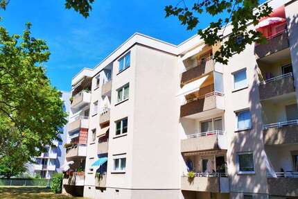 Wohnung zum Mieten in Frankenthal (Pfalz) 569 € 52.01 m² 2 zimmer