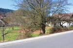 Grundstück Wald-Michelbach Unter-Schönmattenwag - 48.000&euro; | Angebot:26155844