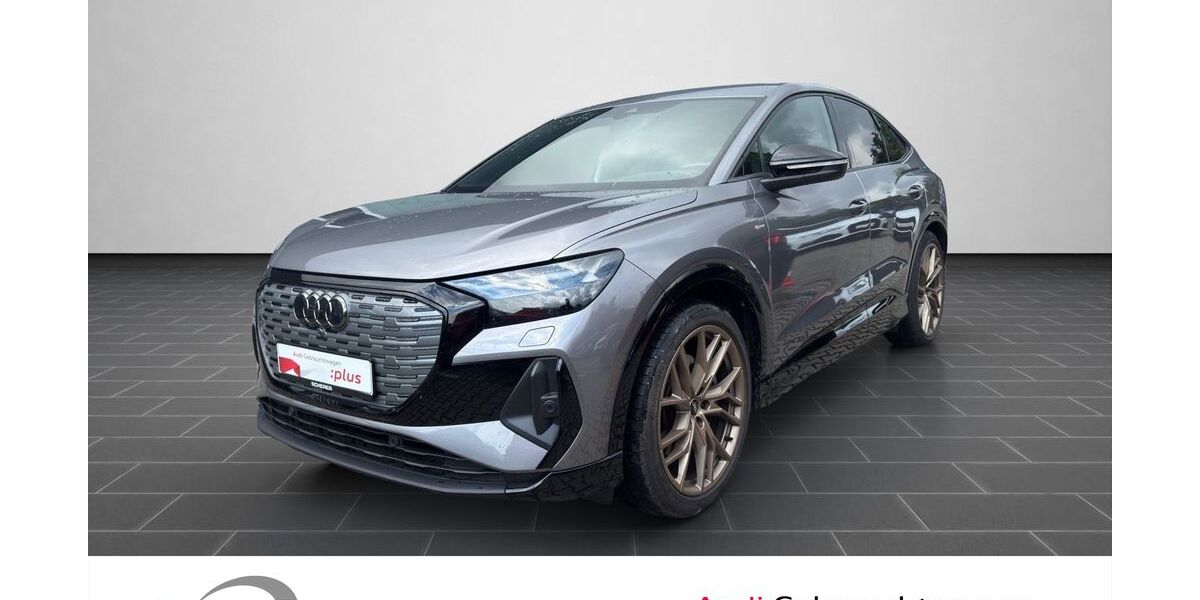 Audi Q4 e-tron 53.500 km 33.500 &euro; Ludwigshafen 67063
