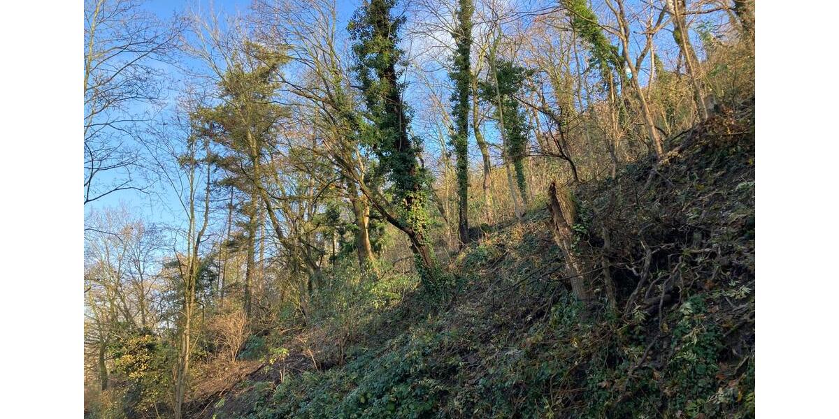 Grundstück Weinheim - 69.000&euro; | Angebot:23843184