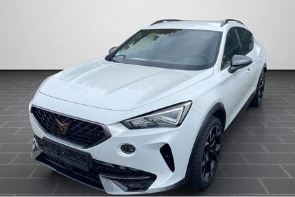 Cupra Formentor 84.745 km 26.500 &euro; Ladenburg 68526