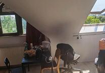 Ab mitte August-single appartment mannheim neckarau alles inclusi
