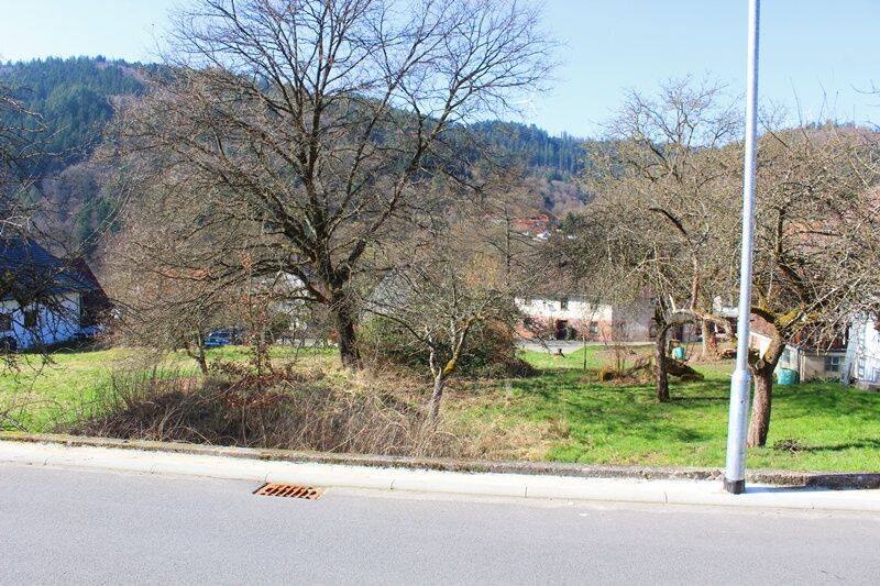 Grundstück Wald-Michelbach Unter-Schönmattenwag - 48.000&euro; | Angebot:26155844