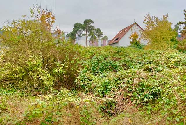 Grundstück Viernheim - 360.000&euro; | Angebot:25716915