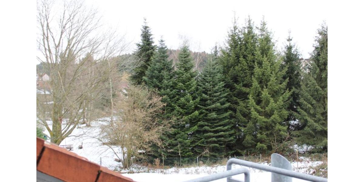 Dachgeschoßwohnung Wald-Michelbach Michelbach - 4 Zimmer, 110 m&sup2;, 730&euro; | Angebot:24888475