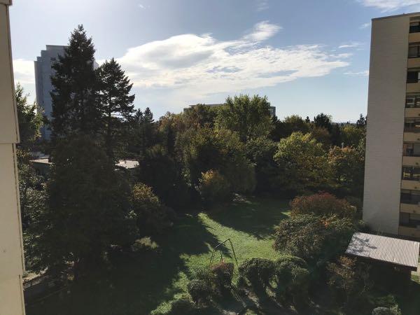 Etagenwohnung Heidelberg Handschuhsheim - 1 Zimmer, 33 m&sup2;, 656&euro; | Angebot:26040696