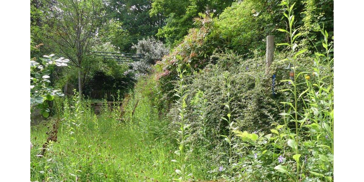 Doppelhaushälfte Oberzent Raubach - 4 Zimmer, 160 m&sup2;, 380.000&euro; | Angebot:26919791