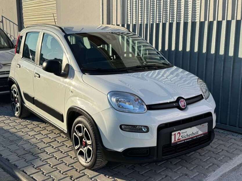 Panda