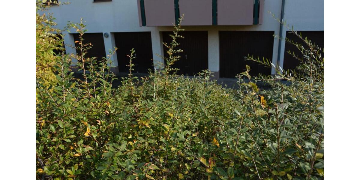 Etagenwohnung Mannheim Gartenstadt - 3 Zimmer, 80 m&sup2;, 310.000&euro; | Angebot:26397001