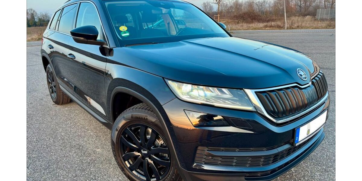 Skoda Kodiaq 216.000 km 16.700 &euro; Ubstadt-Weiher 76698