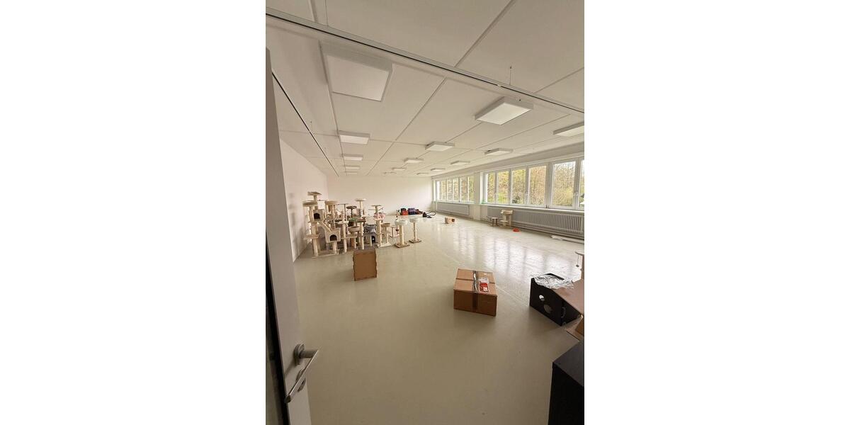 Gewerbeobjekt Mörlenbach - 900&euro; | Angebot:26142686