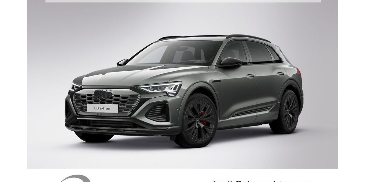 Audi Q8 e-tron 34.670 km 61.900 € Ludwigshafen 67063