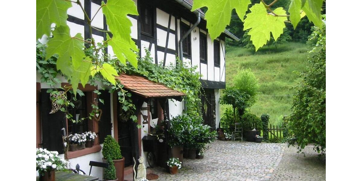 Etagenwohnung Weinheim - 5 Zimmer, 230 m&sup2;, 1.950&euro; | Angebot:26481764
