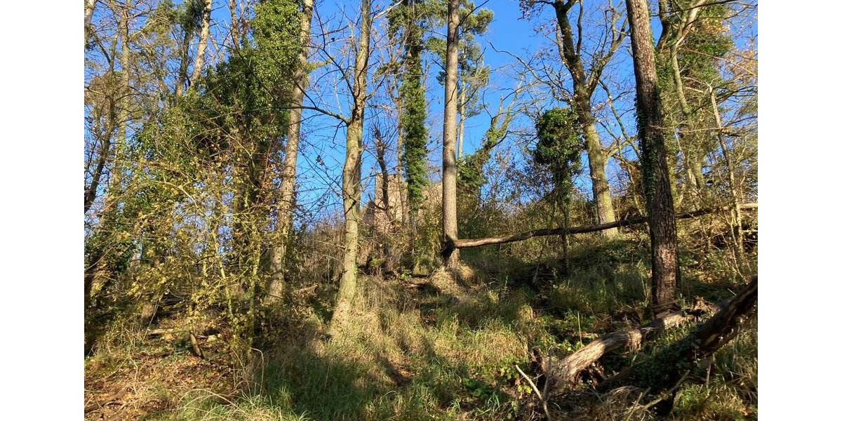 Grundstück Weinheim - 69.000&euro; | Angebot:23843184