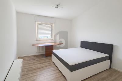 TOP SANIERT, TOP WG - Erdgeschoßwohnung Mannheim Sandhofen | Angebot:26597883