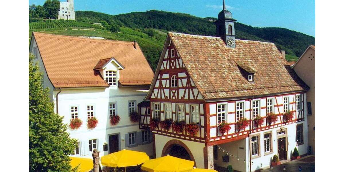 Zimmer Heidelberg Handschuhsheim - 750&euro; | Angebot:27030445