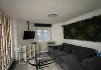 Helle-1-Zimmer- KellerWohnung mit stilvoller Trennwand Dielheim