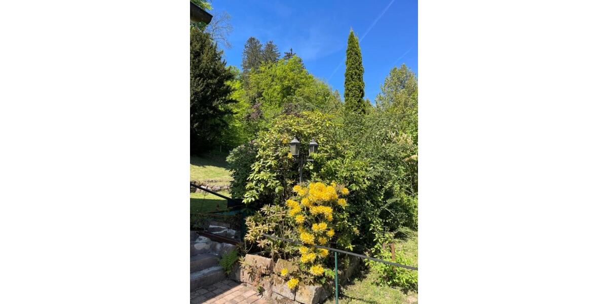 Charmantes Haus am Waldrand von Wilhelmsfeld zimmer