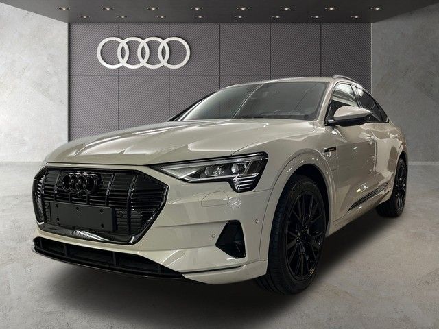 Audi Q8 e-tron 51.242 km 54.790 &euro; Speyer 67346