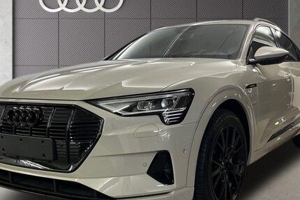 Audi Q8 e-tron 51.242 km 55.990 &euro; Speyer 67346